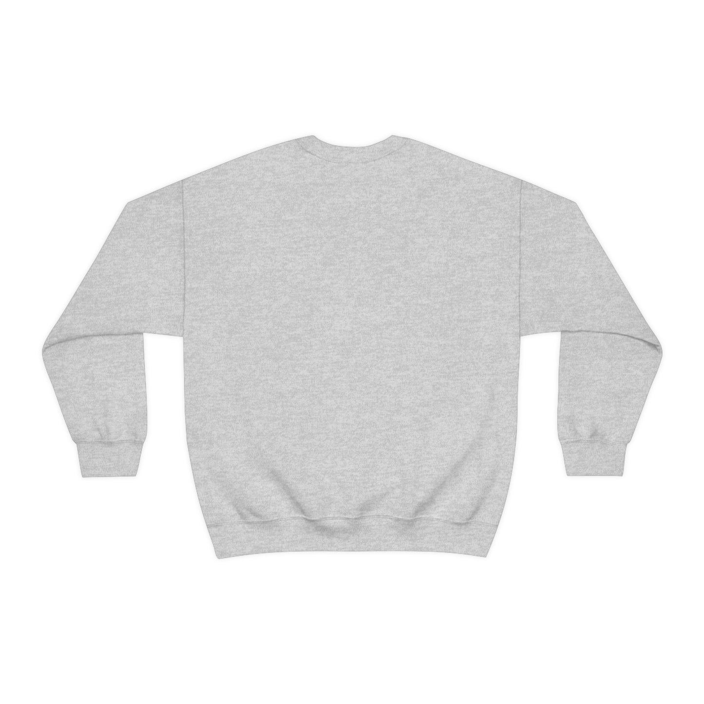Auburn University Sweatshirt