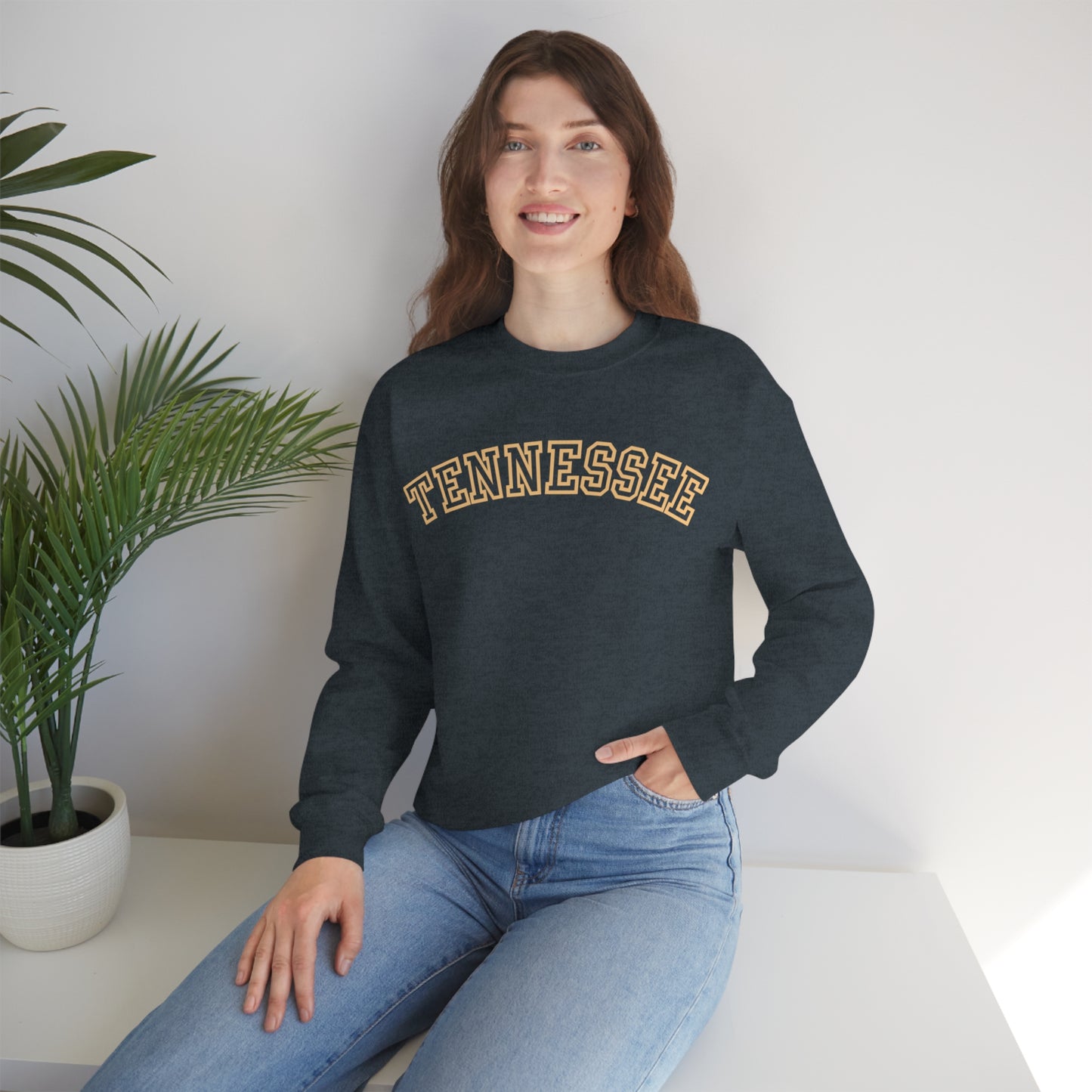 University of Tennessee Sweatshirt